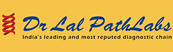 Packers and Movers Jatin Das Park